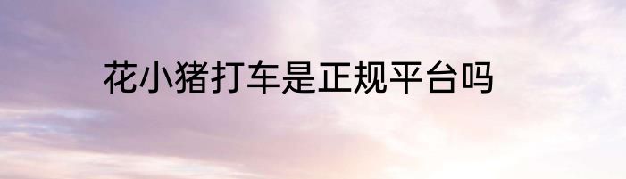 花小猪打车是正规平台吗