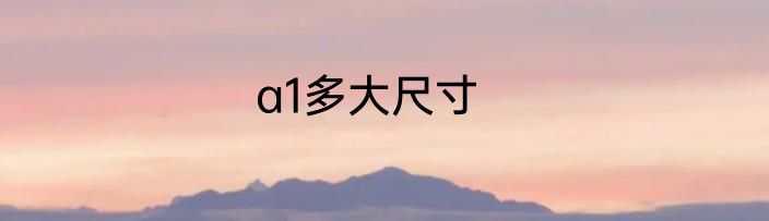 a1多大尺寸
