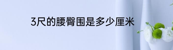 3尺的腰臀围是多少厘米