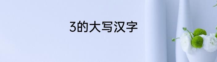 3的大写汉字