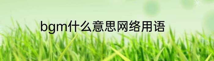 bgm什么意思网络用语