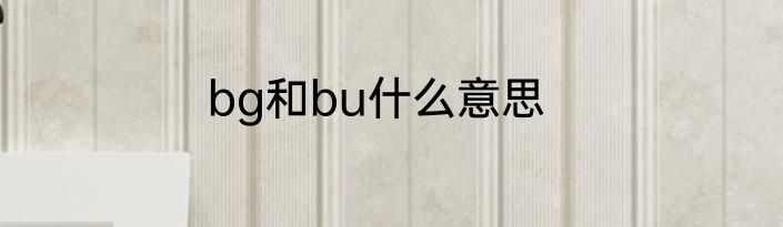 bg和bu什么意思