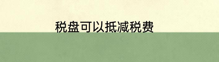 税盘可以抵减税费