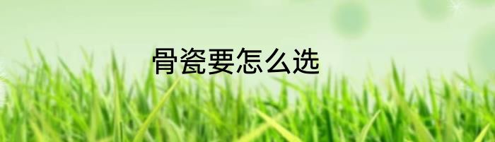 骨瓷要怎么选