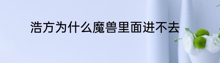 浩方为什么魔兽里面进不去
