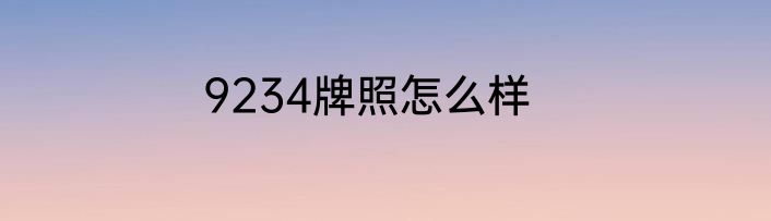 9234牌照怎么样