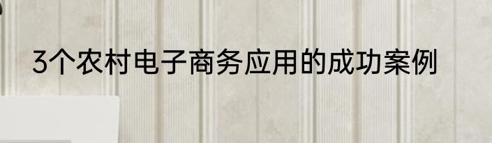 3个农村电子商务应用的成功案例