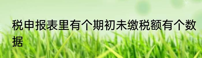 税申报表里有个期初未缴税额有个数据