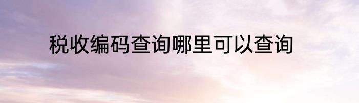 税收编码查询哪里可以查询