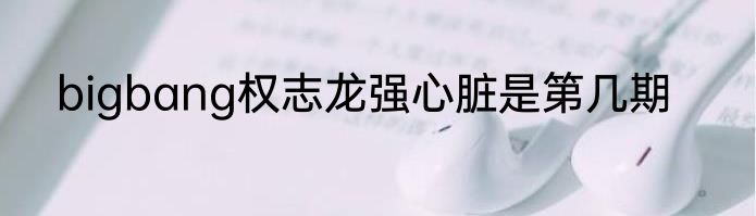 bigbang权志龙强心脏是第几期
