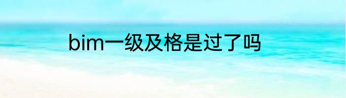 bim一级及格是过了吗