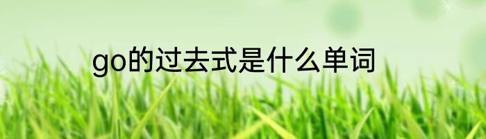go的过去式是什么单词