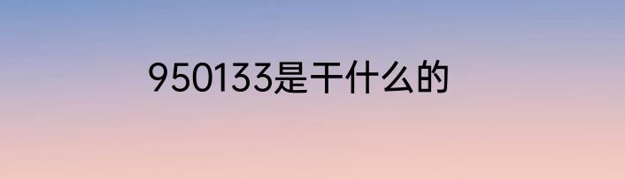 950133是干什么的