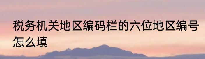 税务机关地区编码栏的六位地区编号怎么填