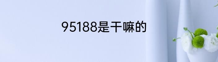 95188是干嘛的