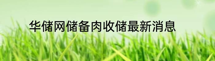 华储网储备肉收储最新消息