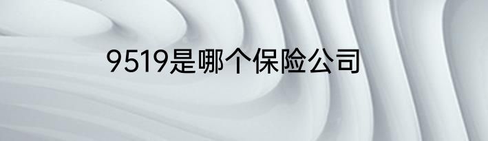 9519是哪个保险公司