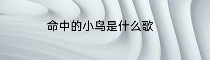 命中的小鸟是什么歌