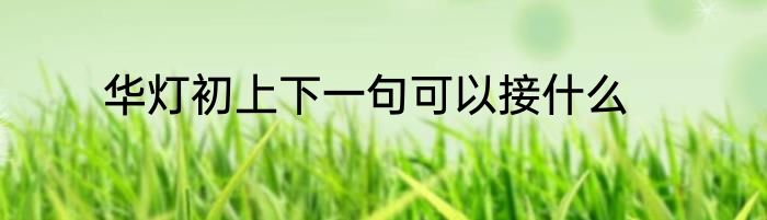 华灯初上下一句可以接什么