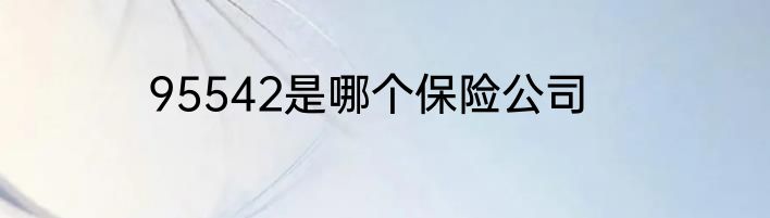 95542是哪个保险公司