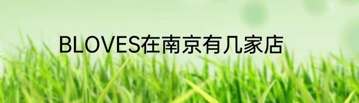 BLOVES在南京有几家店