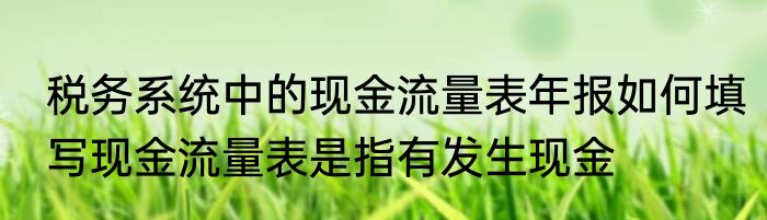 税务系统中的现金流量表年报如何填写现金流量表是指有发生现金
