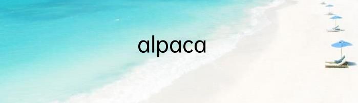 alpaca