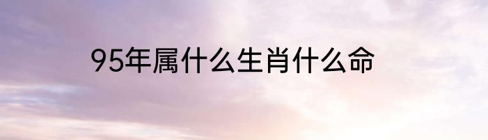 95年属什么生肖什么命
