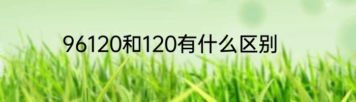 96120和120有什么区别