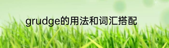 grudge的用法和词汇搭配