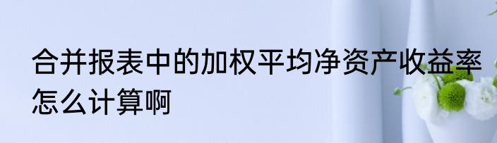 合并报表中的加权平均净资产收益率怎么计算啊