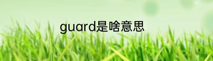guard是啥意思