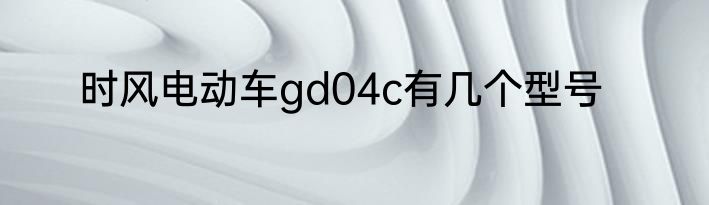 时风电动车gd04c有几个型号