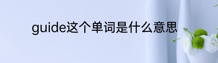 guide这个单词是什么意思