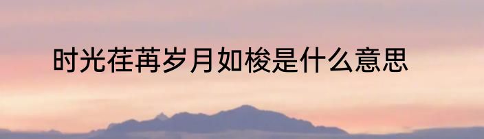 时光荏苒岁月如梭是什么意思