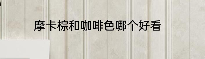 摩卡棕和咖啡色哪个好看