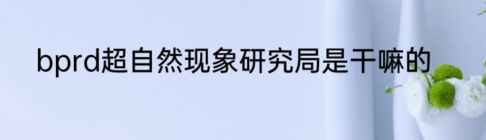 bprd超自然现象研究局是干嘛的