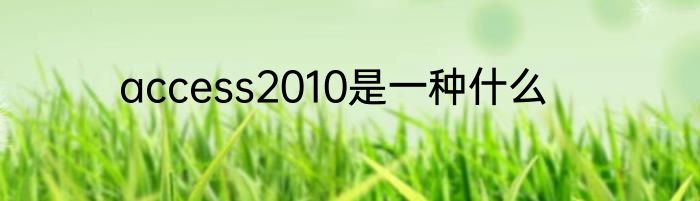access2010是一种什么