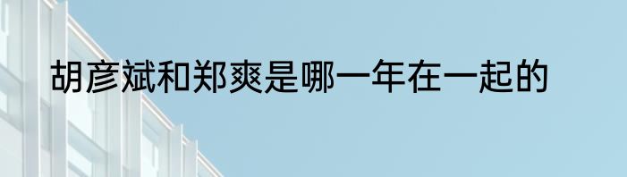 胡彦斌和郑爽是哪一年在一起的