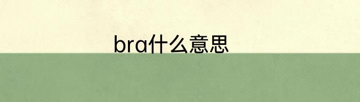 bra什么意思