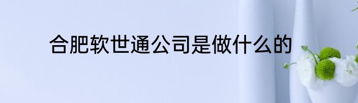 合肥软世通公司是做什么的