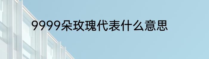 9999朵玫瑰代表什么意思