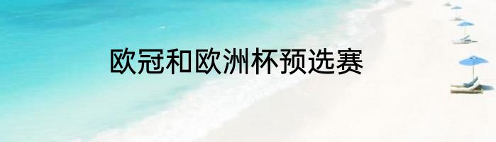 欧冠和欧洲杯预选赛
