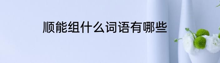 顺能组什么词语有哪些