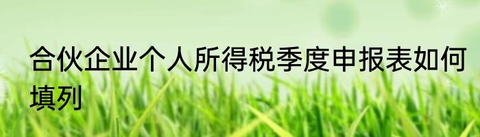 合伙企业个人所得税季度申报表如何填列
