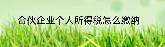 合伙企业个人所得税怎么缴纳