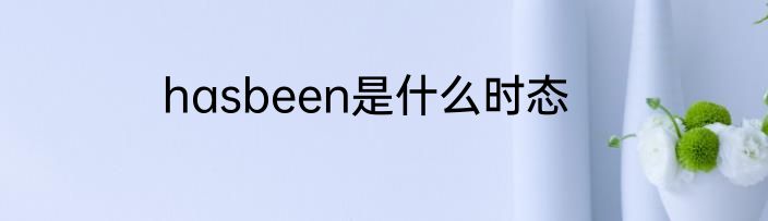 hasbeen是什么时态