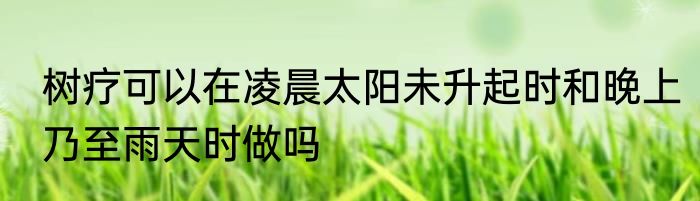 树疗可以在凌晨太阳未升起时和晚上乃至雨天时做吗