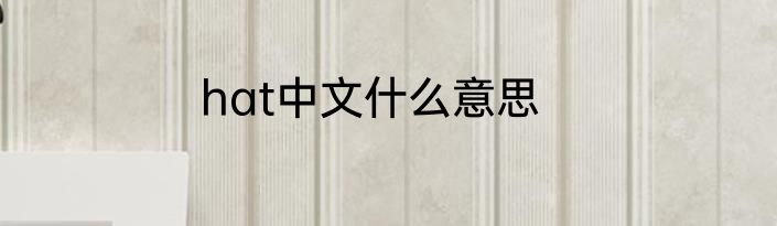 hat中文什么意思
