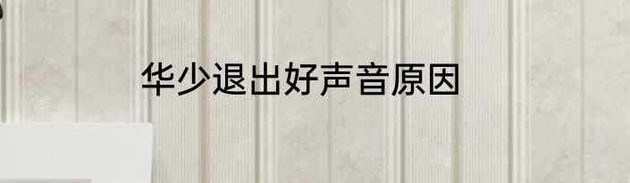华少退出好声音原因